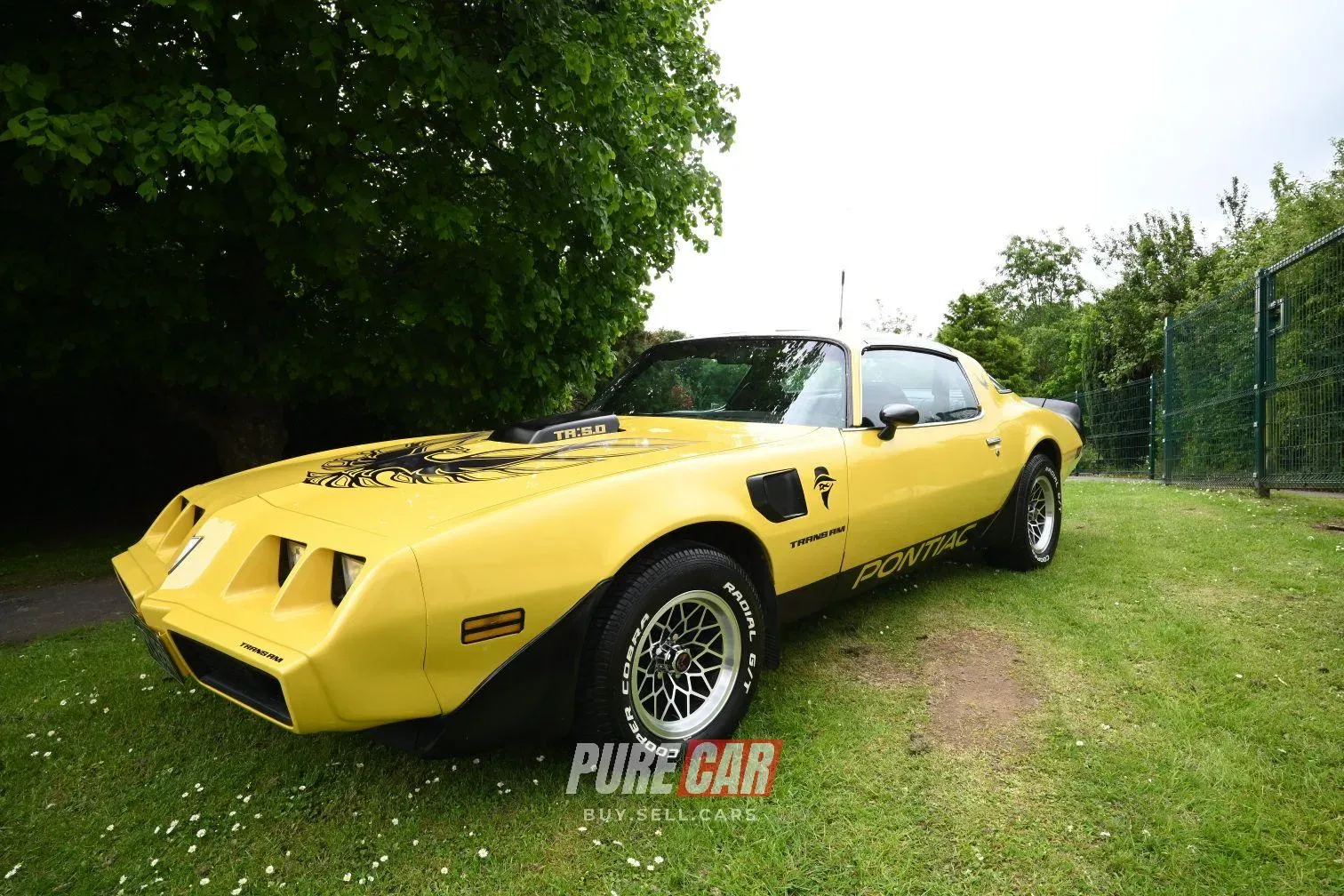 Cedar Integrated Primary School  Car Show