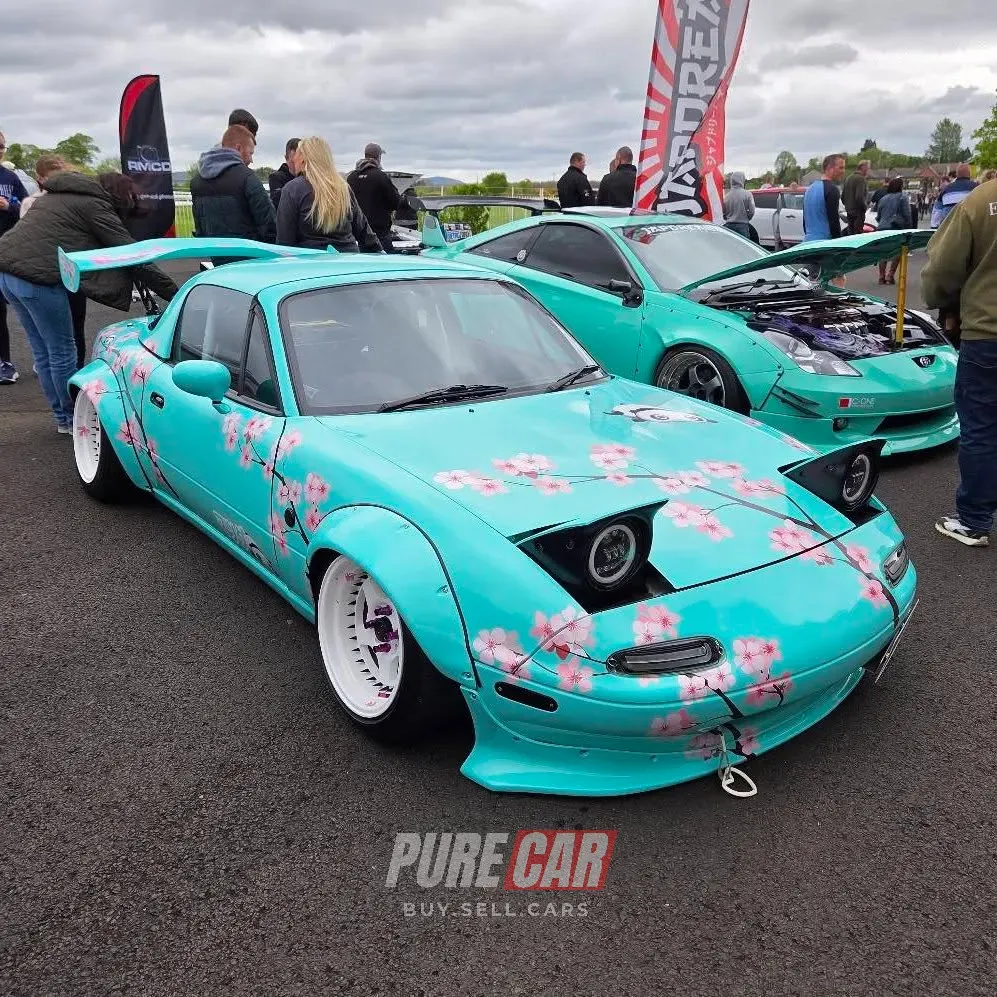 Down Royal Motor Show