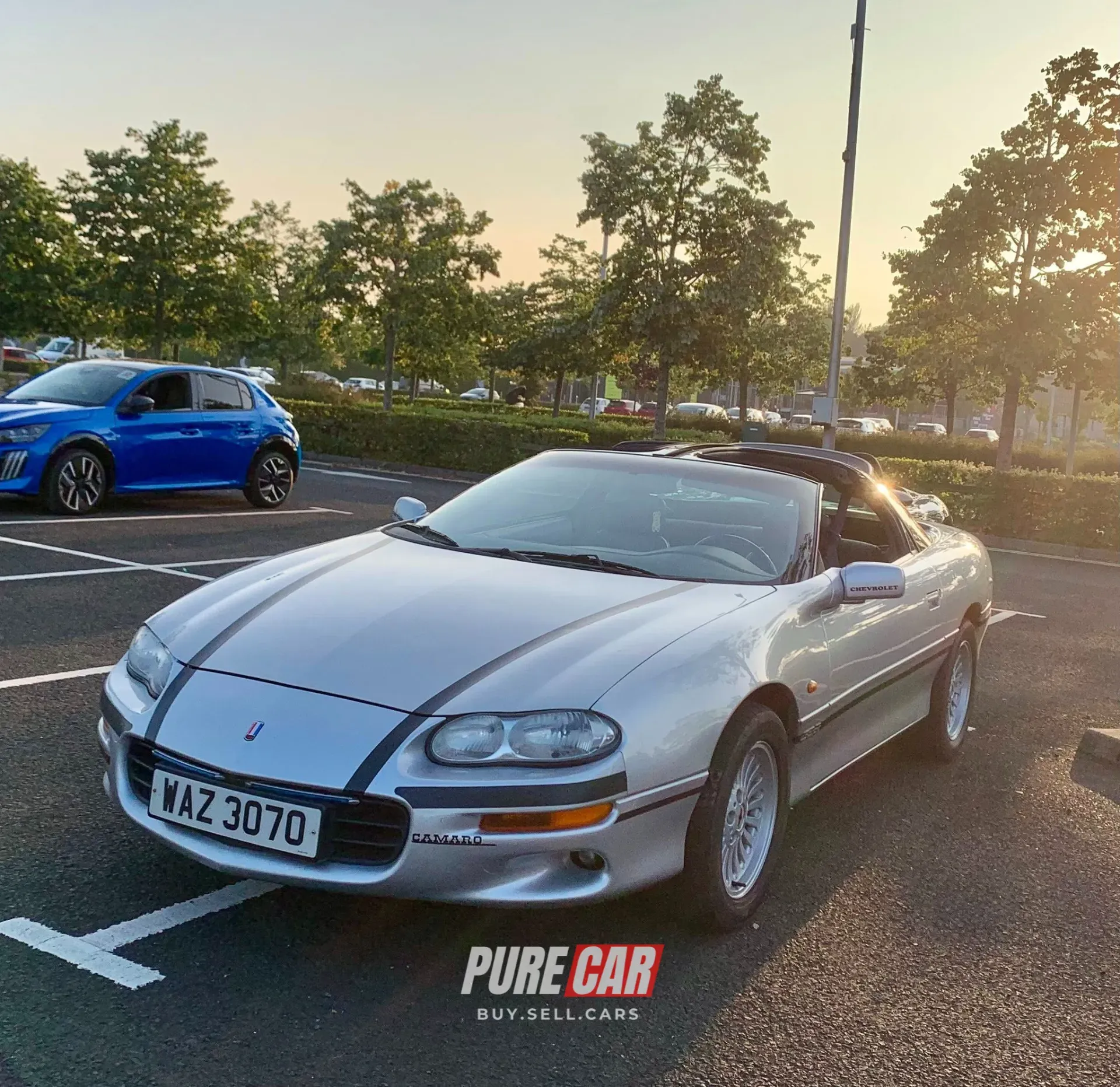 Carbon and Chrome @ The Boulevard 13/08/2025