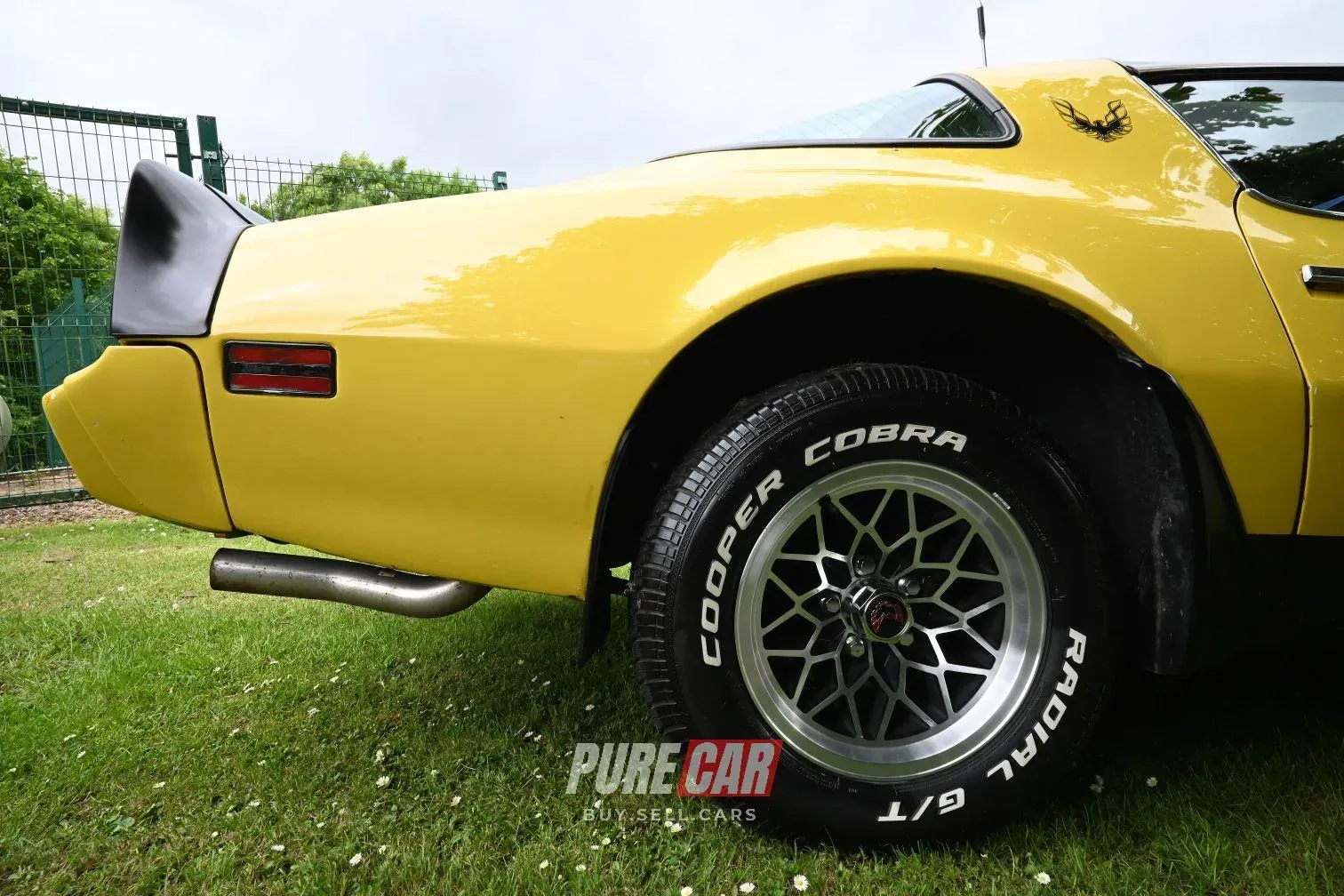 Cedar Integrated Primary School  Car Show