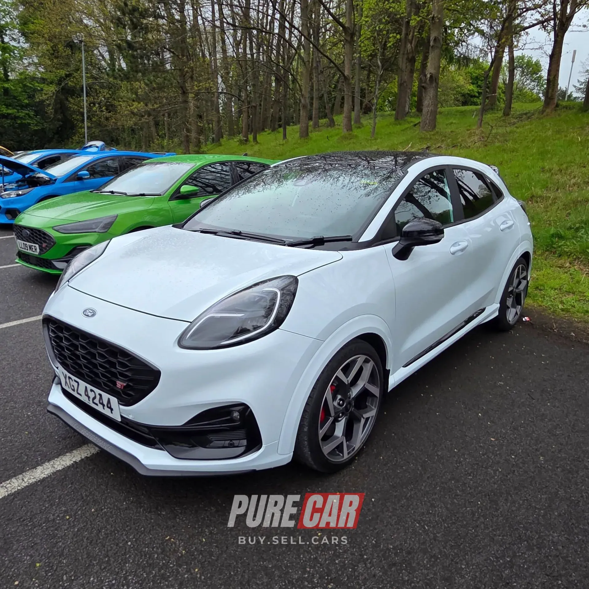 Capri Club NI Annual Gathering – Ulster Folk Park, Holywood