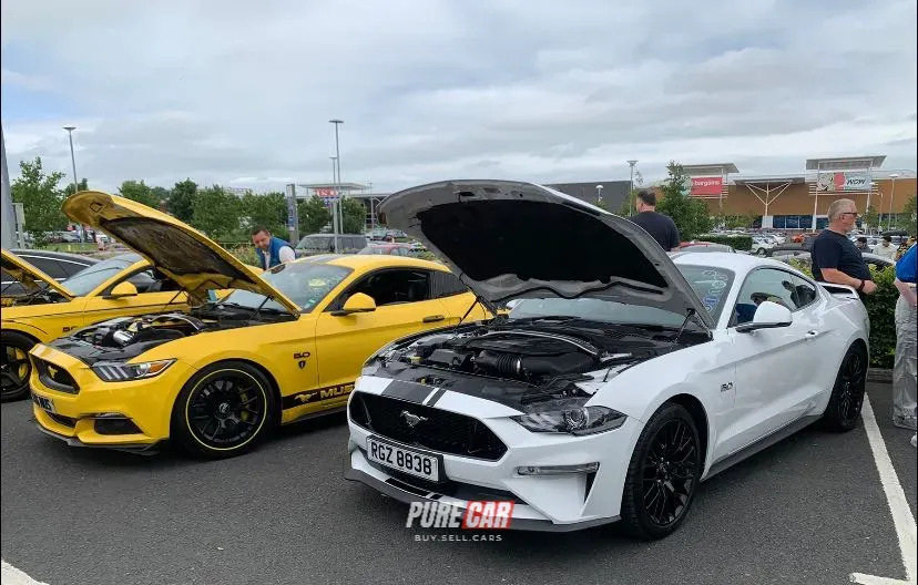 Super cas at the boulevard 29/06/25