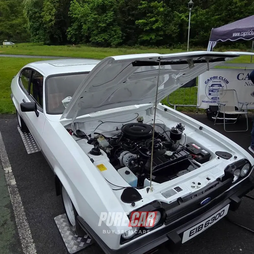 Capri Club NI Annual Gathering – Ulster Folk Park, Holywood