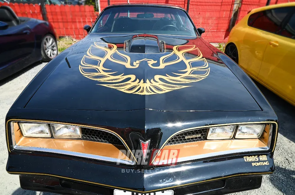 Cars & Coffee at Eddie Irvine Sports – Sunday, 11th May