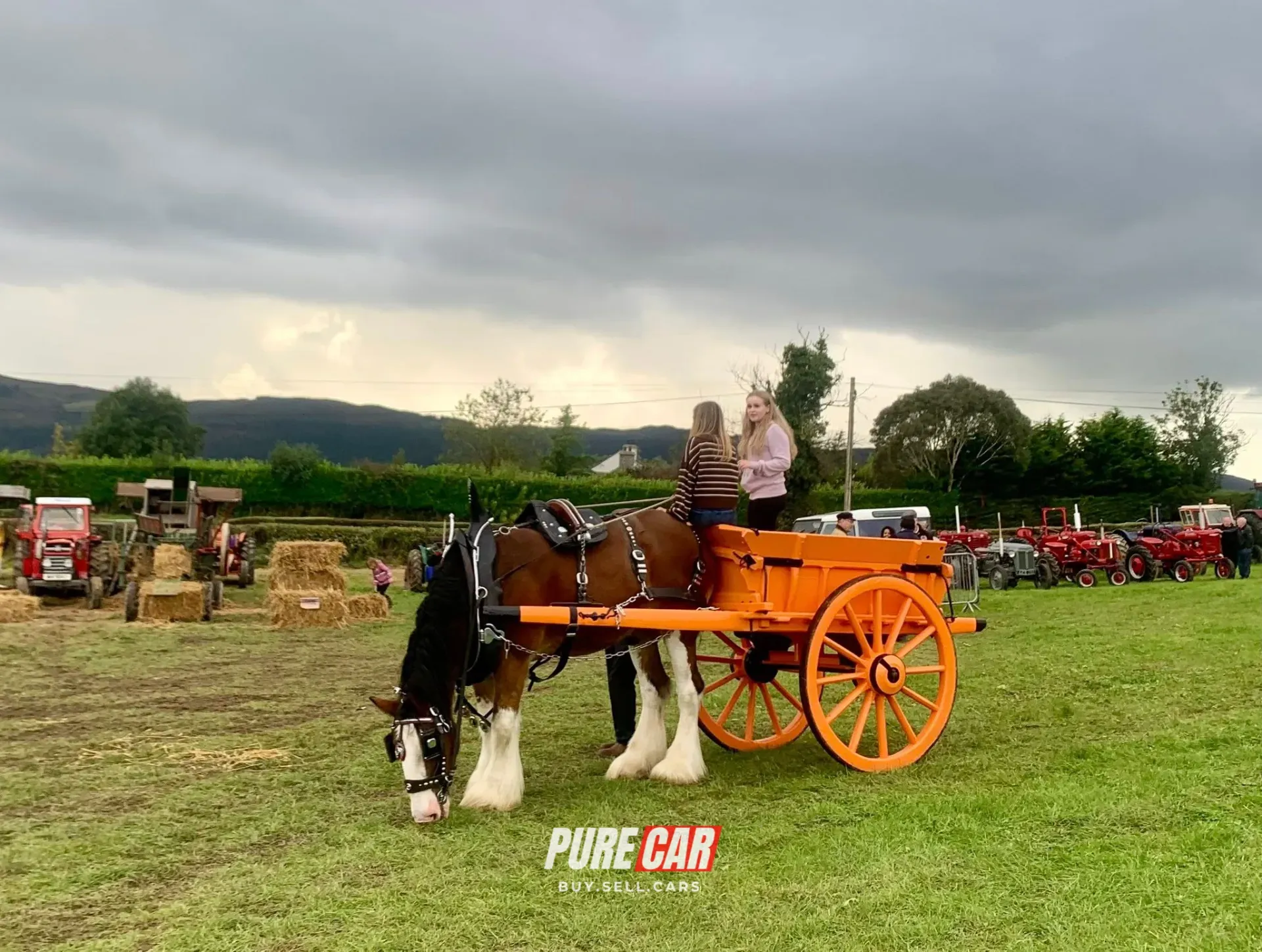 Warrenpoint & Burren threshing and vintage day 28th Spep 2025