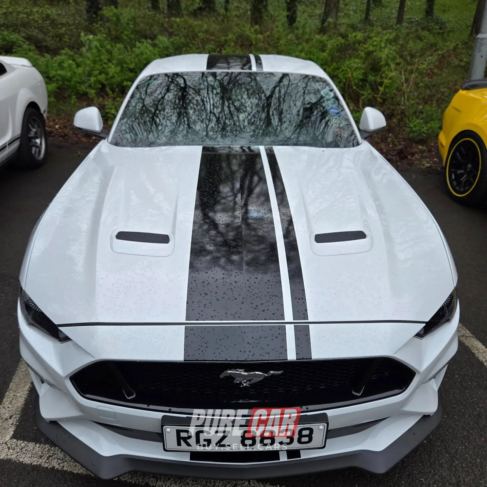 Capri Club NI Annual Gathering – Ulster Folk Park, Holywood