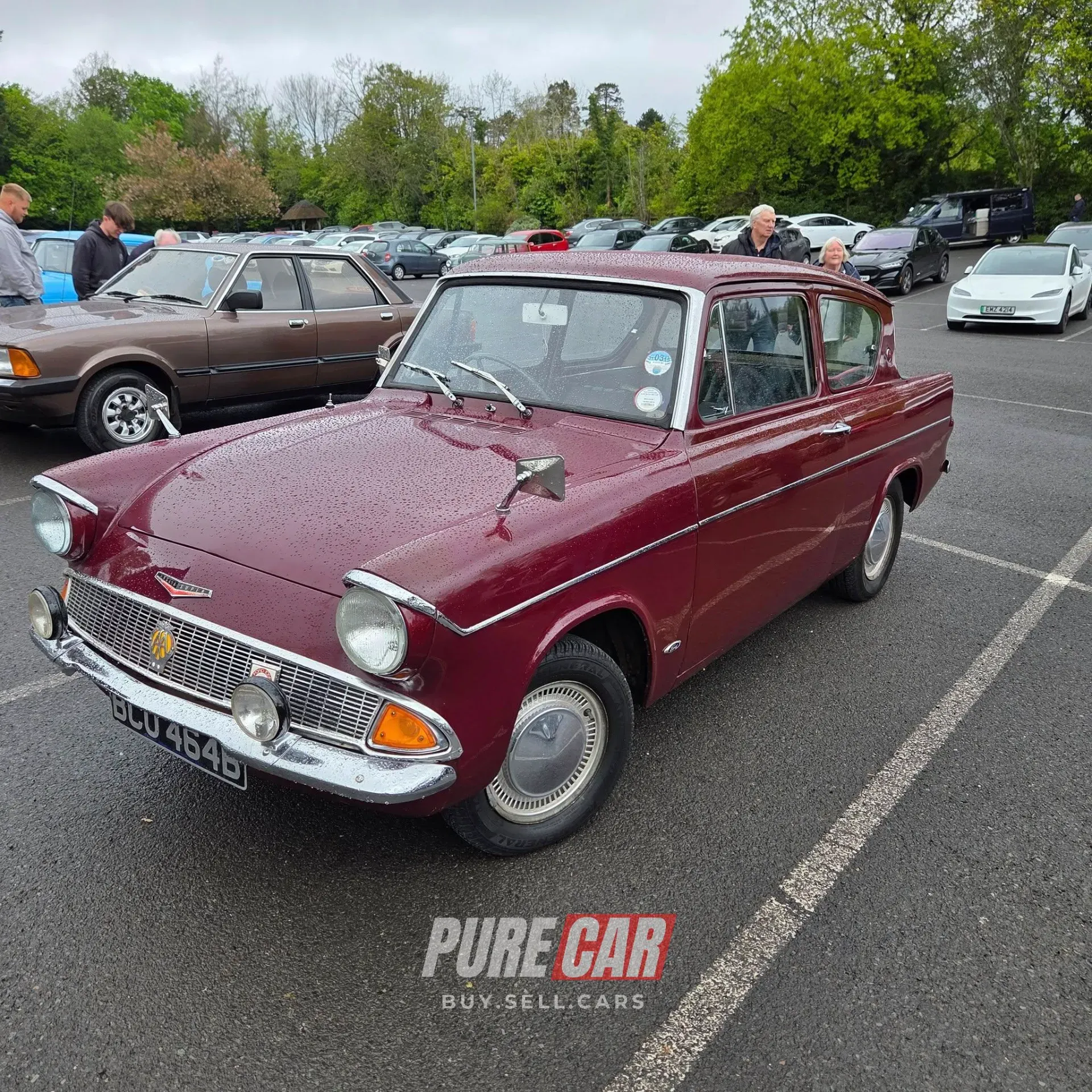 Capri Club NI Annual Gathering – Ulster Folk Park, Holywood