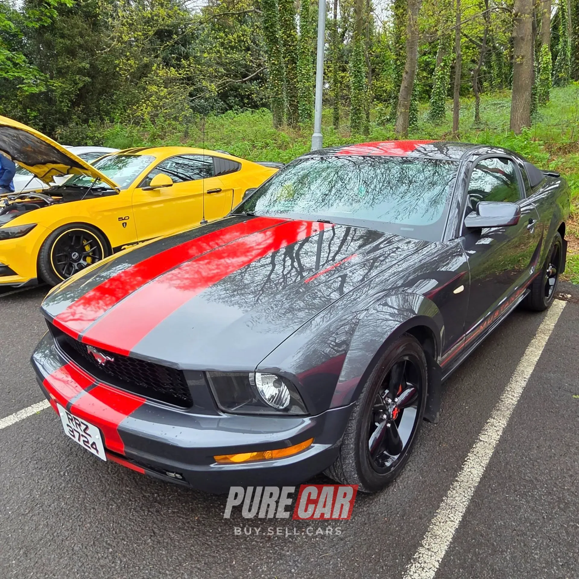 Capri Club NI Annual Gathering – Ulster Folk Park, Holywood