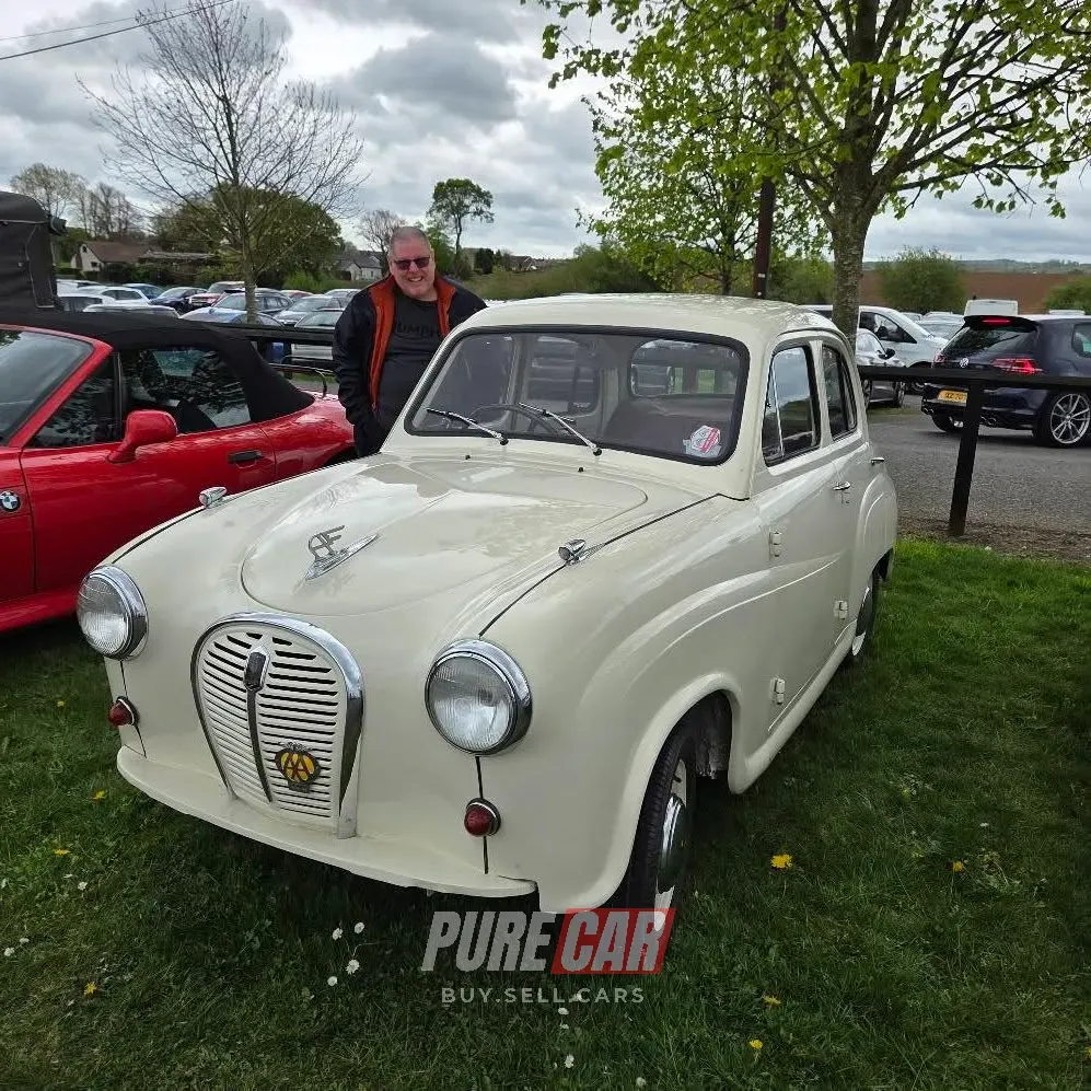 Down Royal Motor Show