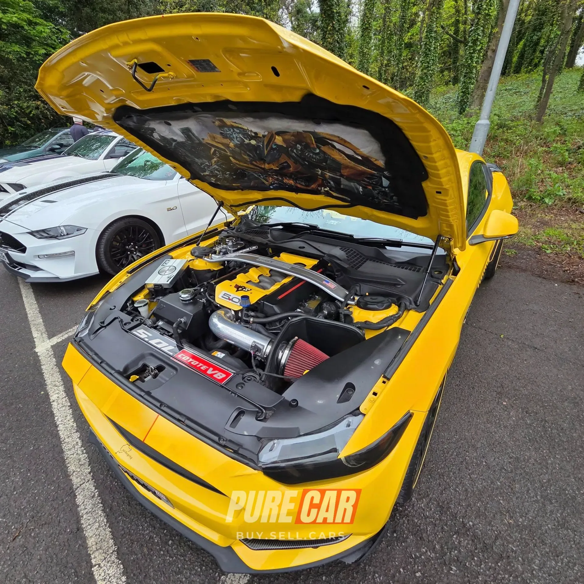 Capri Club NI Annual Gathering – Ulster Folk Park, Holywood