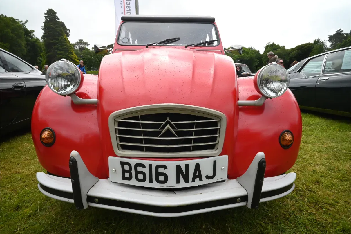 Cultra Motorsport Festival Report 2025