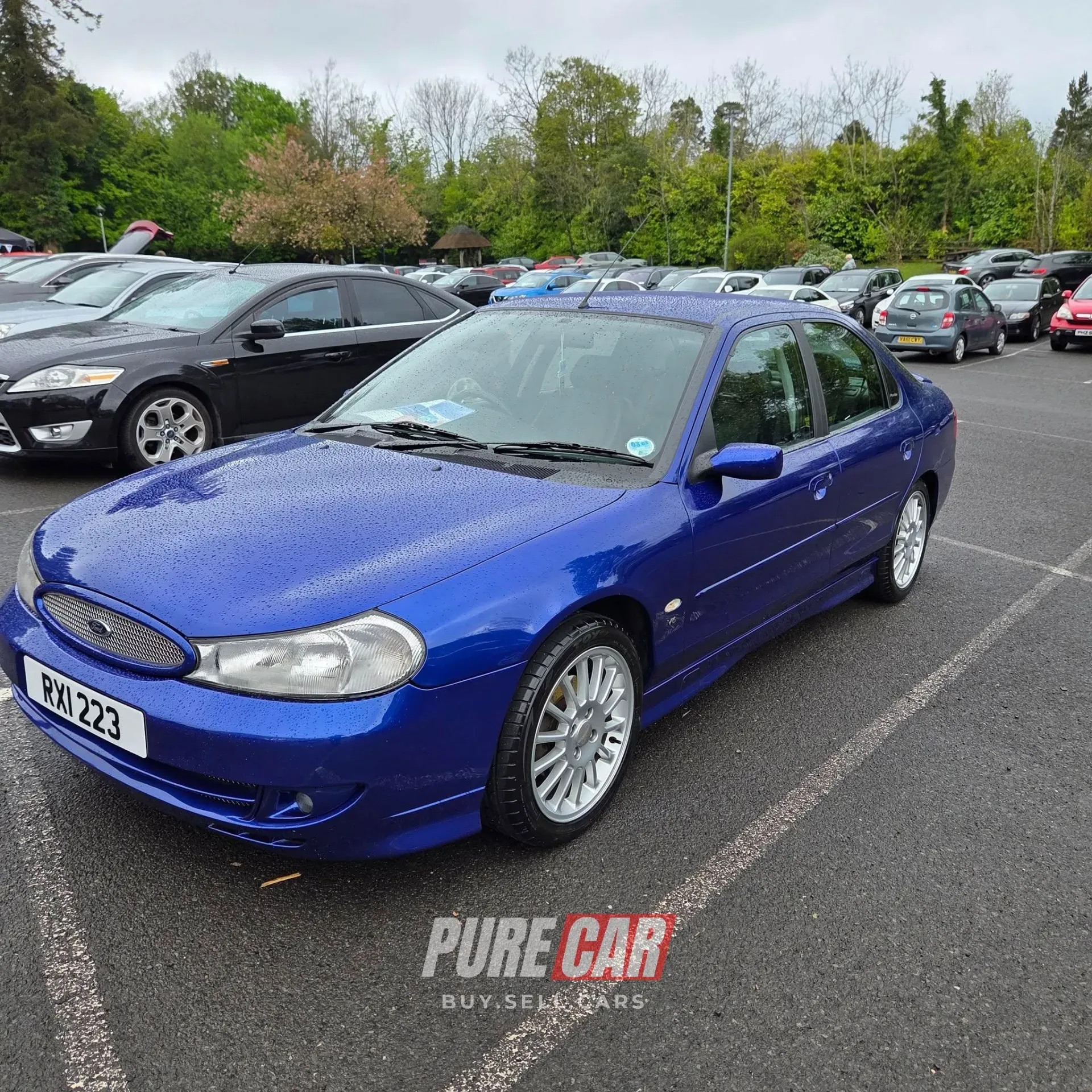 Capri Club NI Annual Gathering – Ulster Folk Park, Holywood