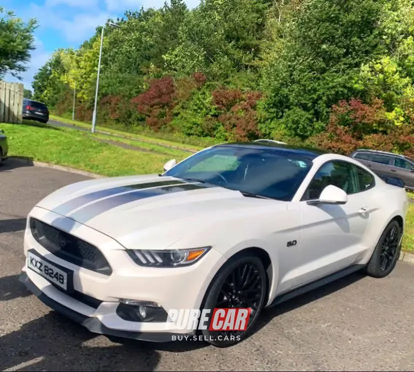 Cars & Coffee Modern Tyres Carnbane Newry 31/08/2025